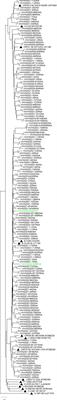 Consistency of drug-resistant mutations in plasma and peripheral blood mononuclear cells of patients with treatment-naïve and treatment-experienced HIV-1 infection